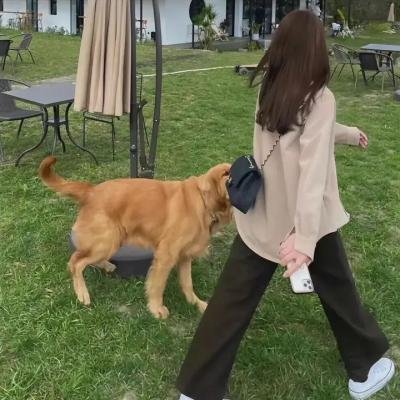 红包